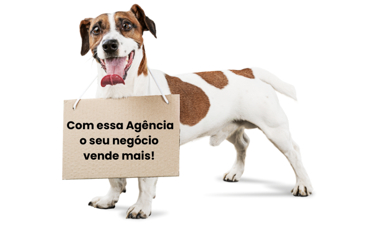 agencia de marketing para petshop